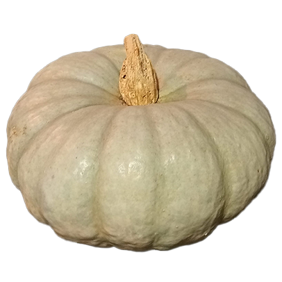 Calabaza
